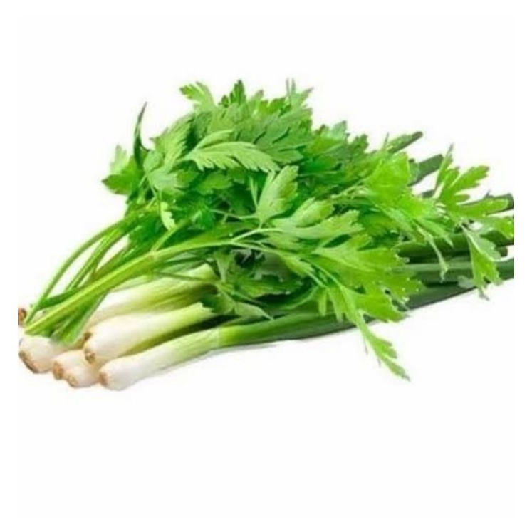 

Daun bawang seledri campur 100 gr