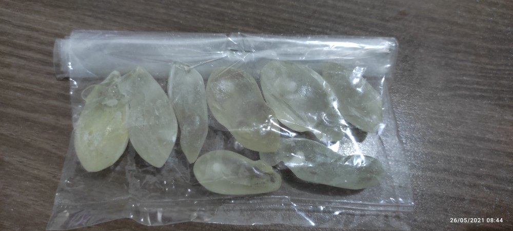 Molding /cetakan Soft Frog Tikus Ada 2 Ukuran 3.5 Dan 3.8 Hook 1/0 Dan 1