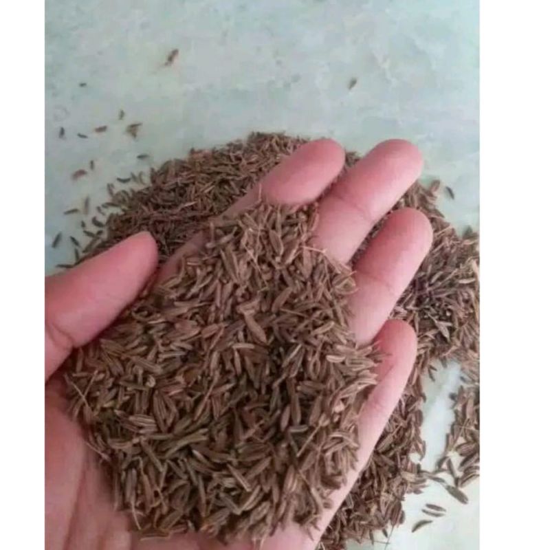 

Jintan / Jinten Per Pack