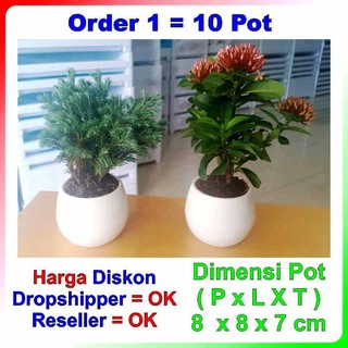 10 Pcs Pot  Bunga  Mini Putih  Murah  Untuk Dekorasi dan 