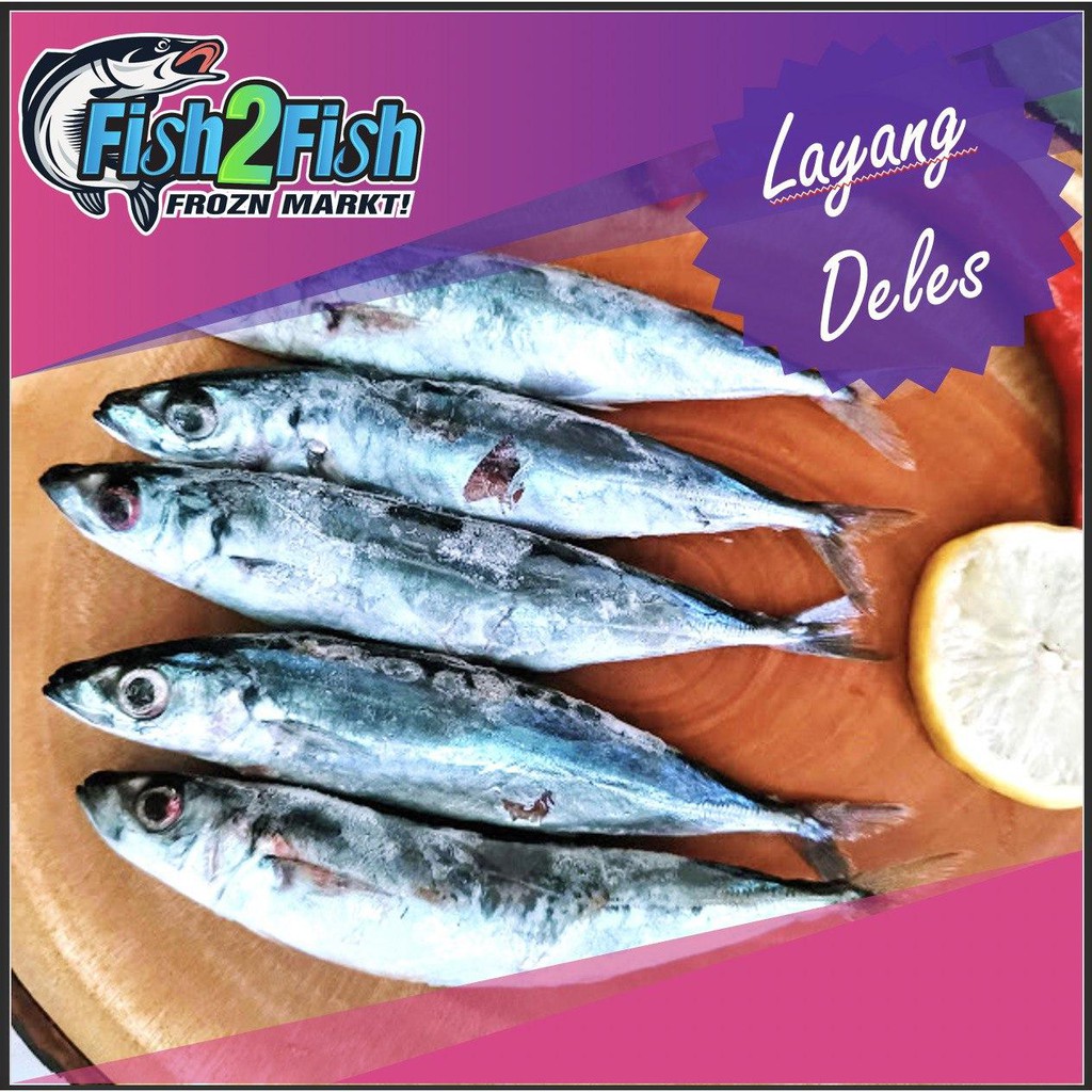 

Ikan Layang Deles Frozen Beku