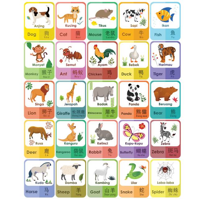 Flashcard Pengenalan Nama Hewan 3 Bahasa Kartu Pintar Anak Kartu Belajar Inggris Mandarin Shopee Indonesia