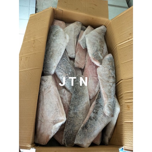 

Fillet Ikan Kakap Putih / Baramundi