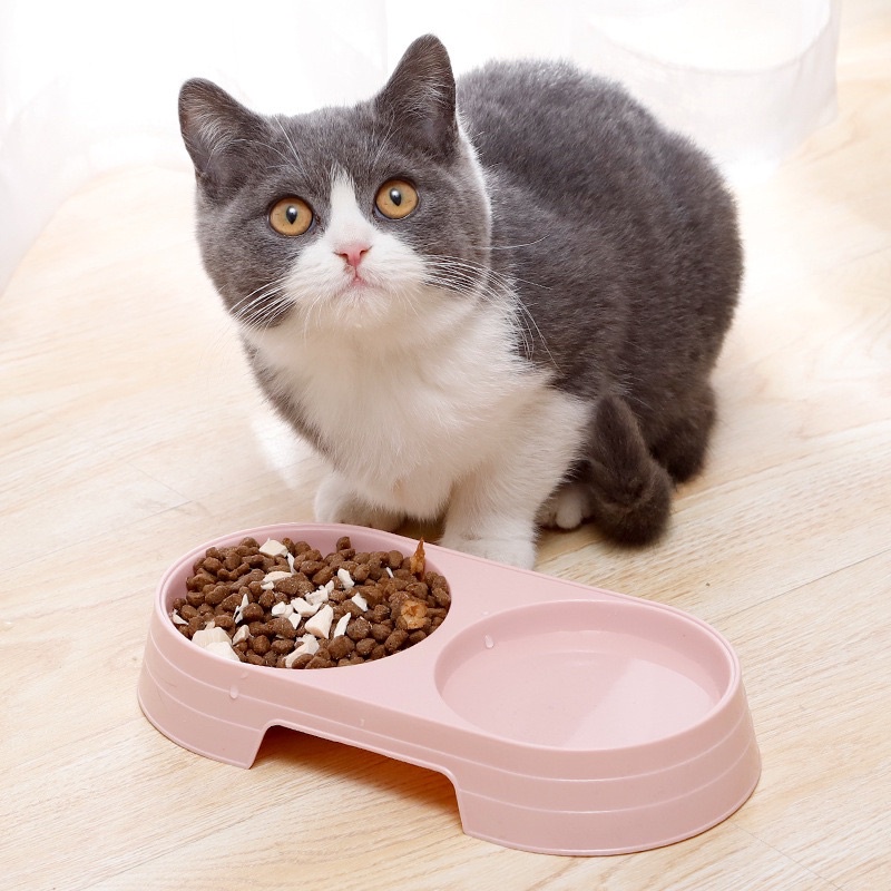Tempat makan anjing kucing 2 cup | Mangkok tempat makan hewan Anti-Semut Double Bowl | Mangkok Makan Plastik Macaron Untuk Anjing dan Kucing