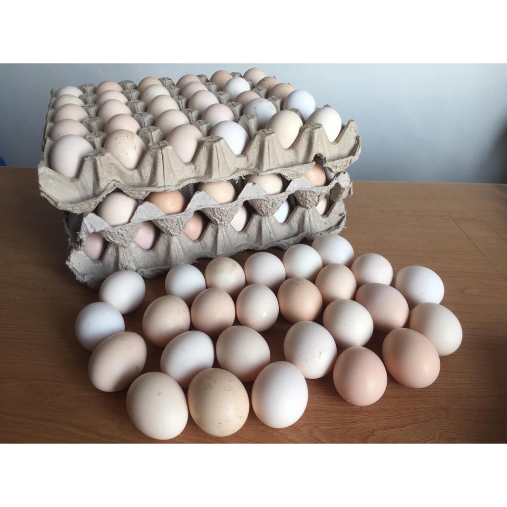 

Telur Ayam Kampung Omega 3 isi 6 butir (via grab/gojek)
