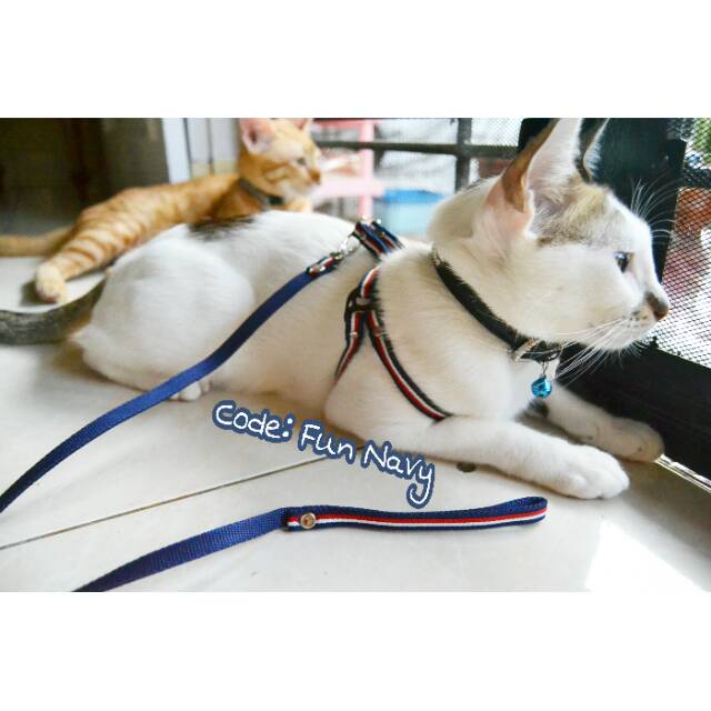 Harness O Tali Tuntun Kalung Kucing Lonceng Krincingan Lazada Indonesia