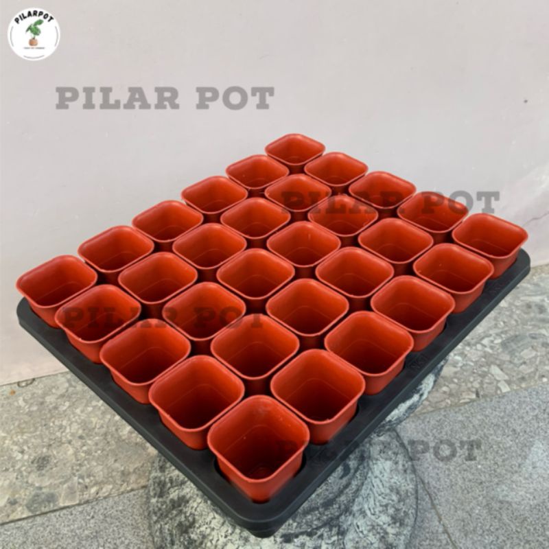 1 SET TRAY LUBANG 30 + POT NKT KOTAK 5CM MERAH BATA 30 PCS | TRAY SEMAI BIBIT