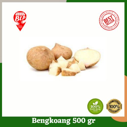 

Bengkoang 500 gr Berkah Lumbung Pangan