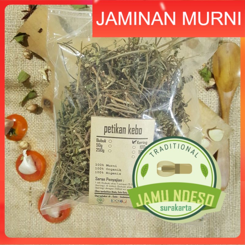 

PETIKAN KEBO KERING 100 GRAM - Euphorbia Hirta - MURNI - JSR - REMPAH - PREMIUM QUALITY