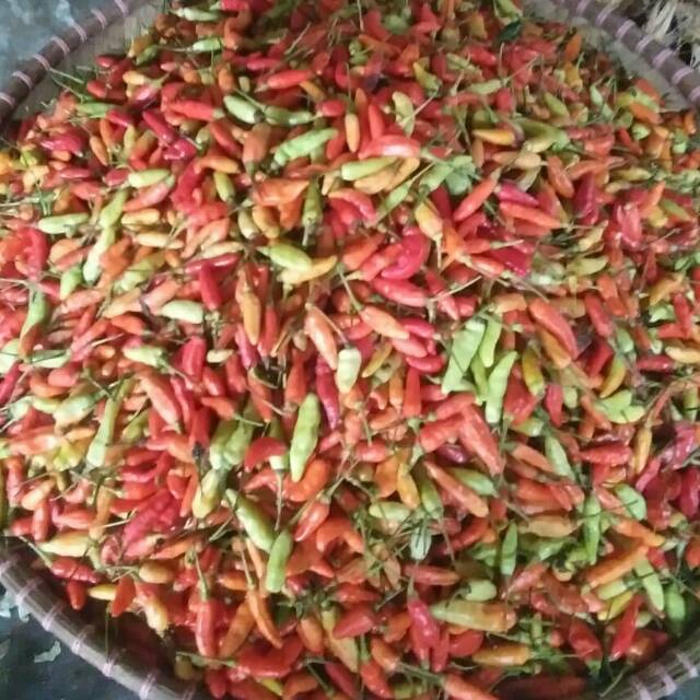 

CABE RAWIT MERAH