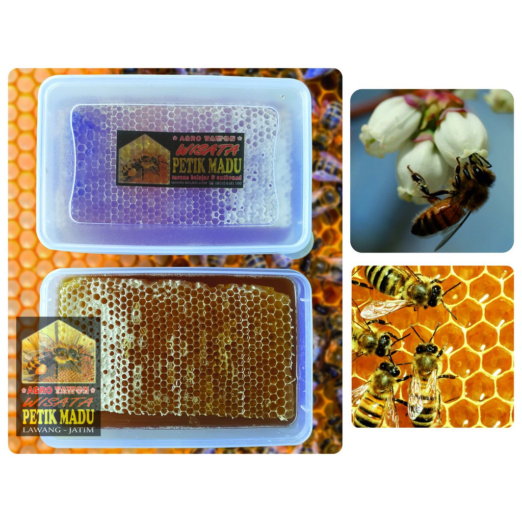 

Madu Sarang Honey Comb Fresh Honey 750 gram