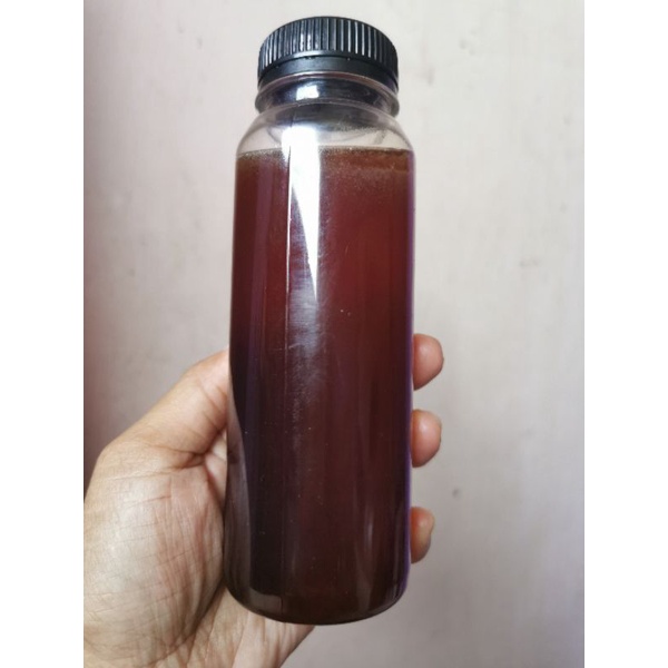 

Madu klanceng asli/Madu mujarab/Madu seger di badan/Madu pemulihan sakit