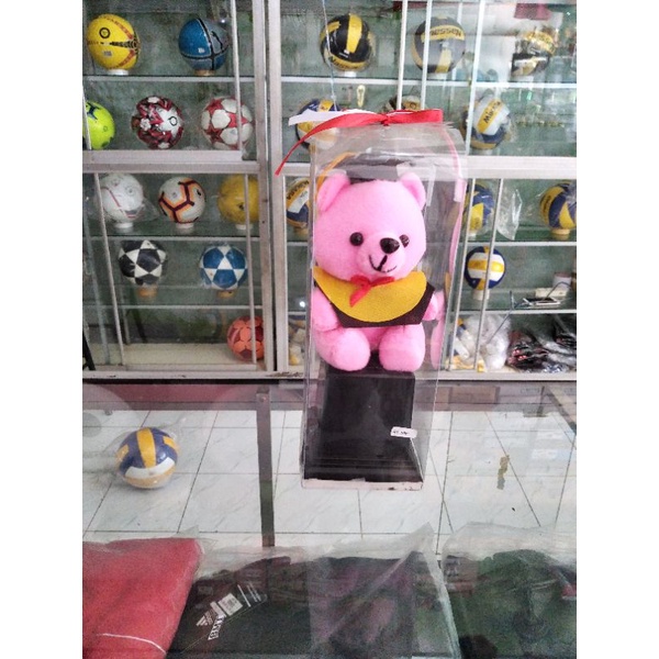 PIALA BONEKA COCOK UNTUK (WISUDA,KELULUSAN,PENGHARGAAN,KENANG KENANGAN)