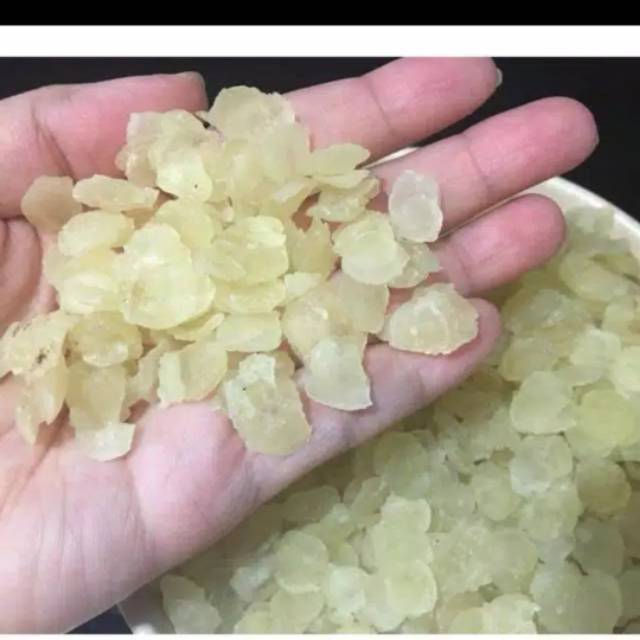 

SNOW LOTUS SEED / XUE LIAN ZHI / BIJI TERATAI SALJU 100GRAM
