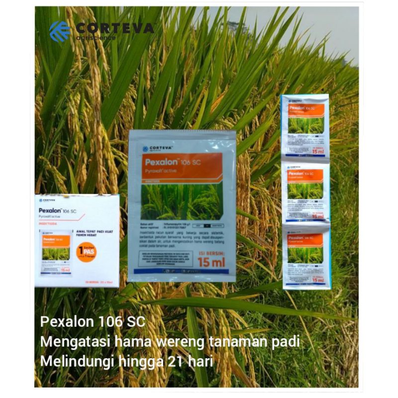 Obat wereng paling ampuh Insektisida Pexalon 106sc 15ml