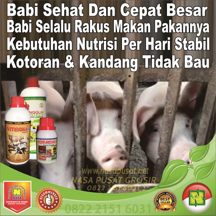 Jual Obat Agar Babi Cepat Besar