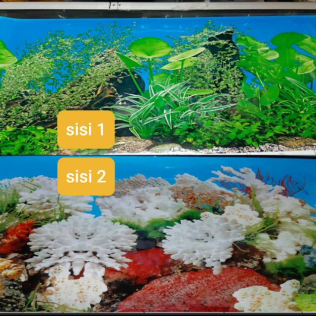 Gambar Aquarium Background Aquarium Gambar Tinggi 30cm Panjang 50Cm