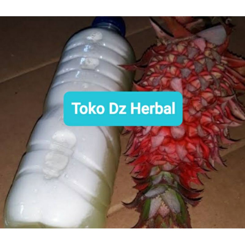 

Jus nanas merah nanas hutan nanas muda segar 600 ml