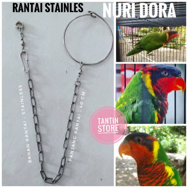 Rantai Burung Nuri Dora