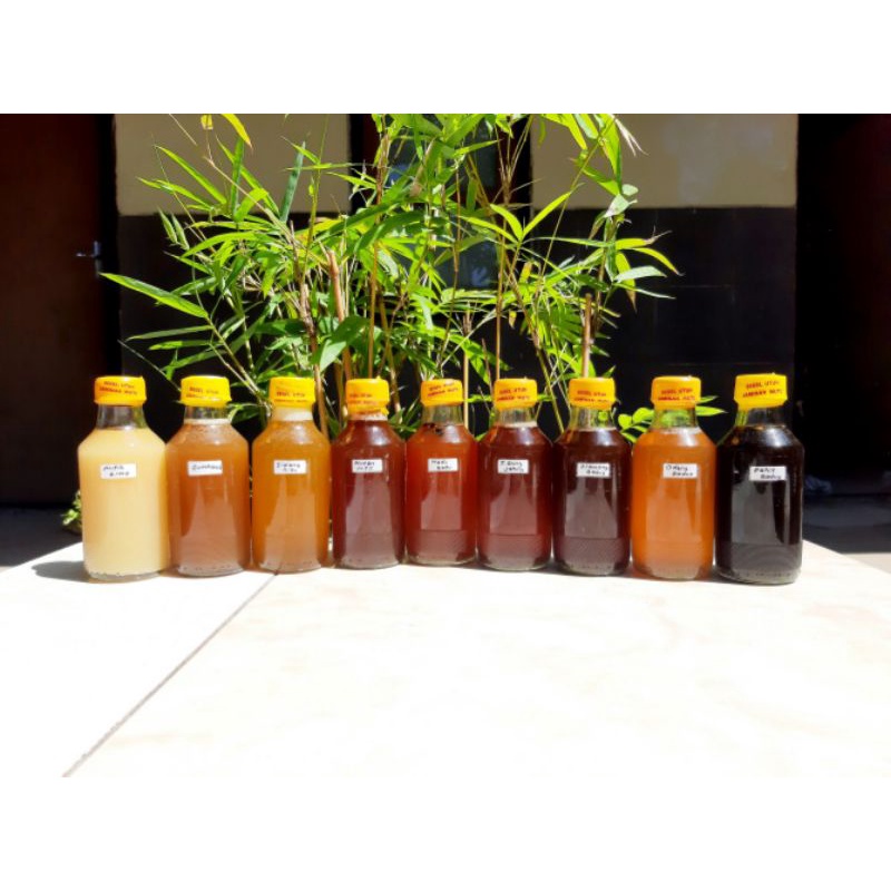 

Madu Hutan Liar Asli 100% kemasan 140 ML