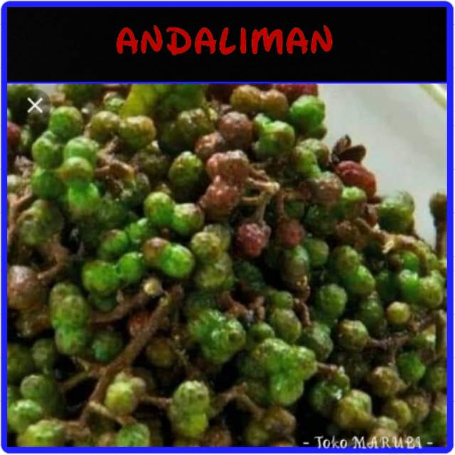 

Andaliman 100gr