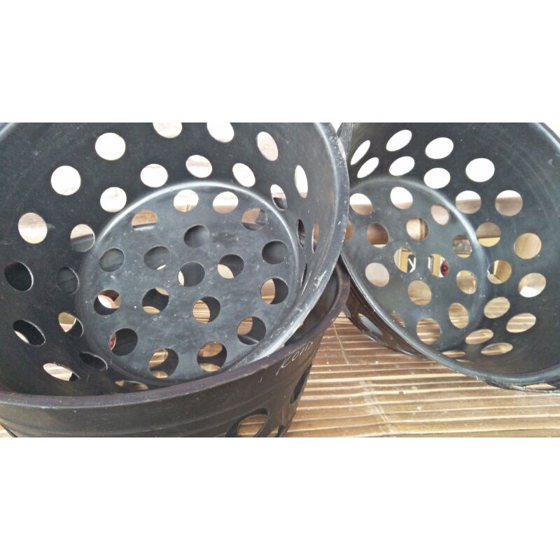 bak sortir ikan lele konsumsi 1 2 3