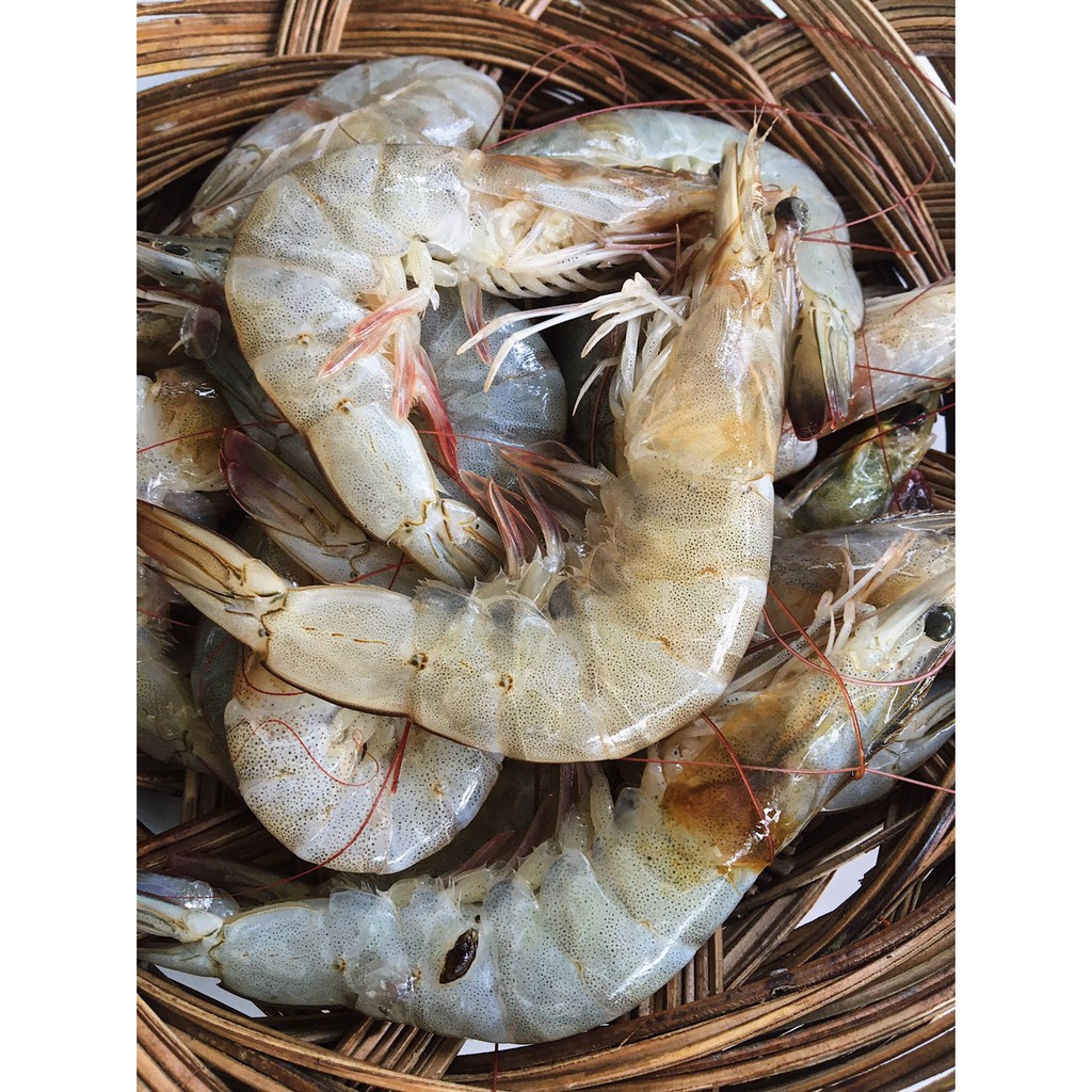 

Udang Grade A