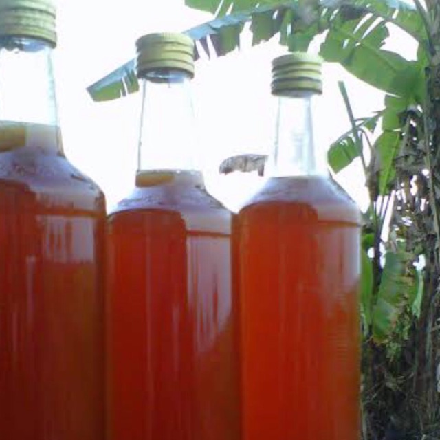 

Madu murni