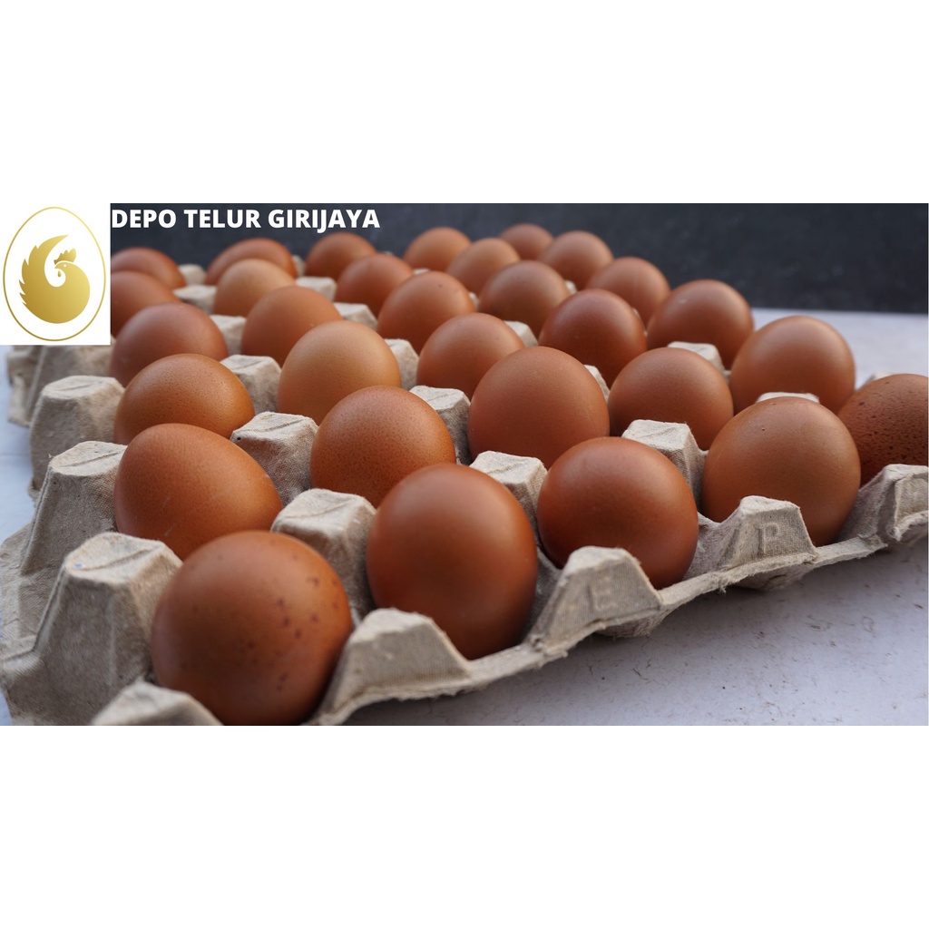 

TELUR AYAM NEGERI FRESH TERNAK SENDIRI ISI 30 PCS
