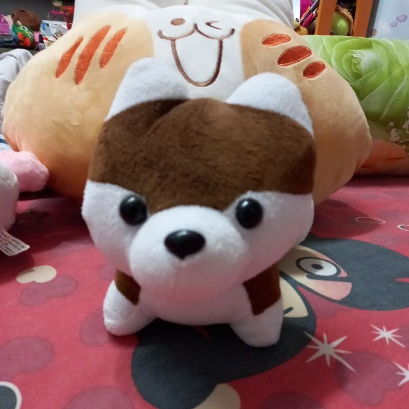 boneka guguk shiba lucu gembul