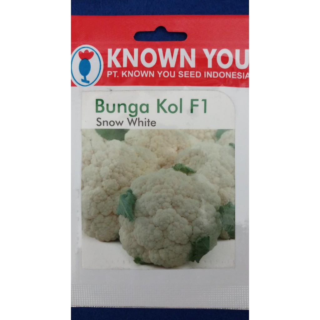 Alat Hidroponik : Benih Bibit Bunga Kol Snow White Termurah