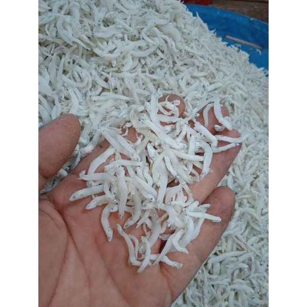 

Teri Nasi Khas MEDAN