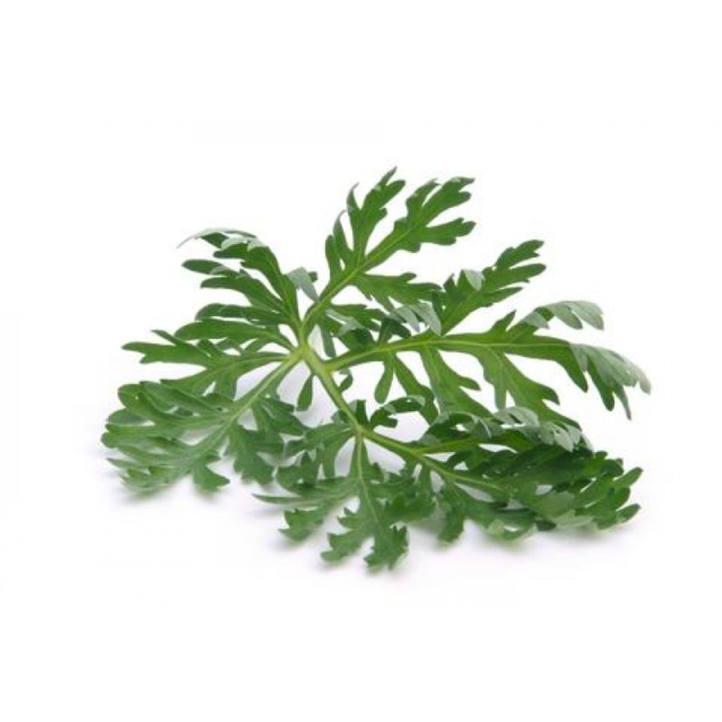 

DAUN KENIKIR [Seiket]