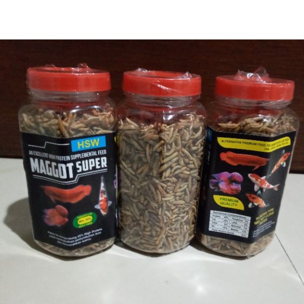 PAKAN IKAN CHANNA PREDATOR ULAT HONGKONG KERING MAGGOT SUPER HSW Berat 135 gr