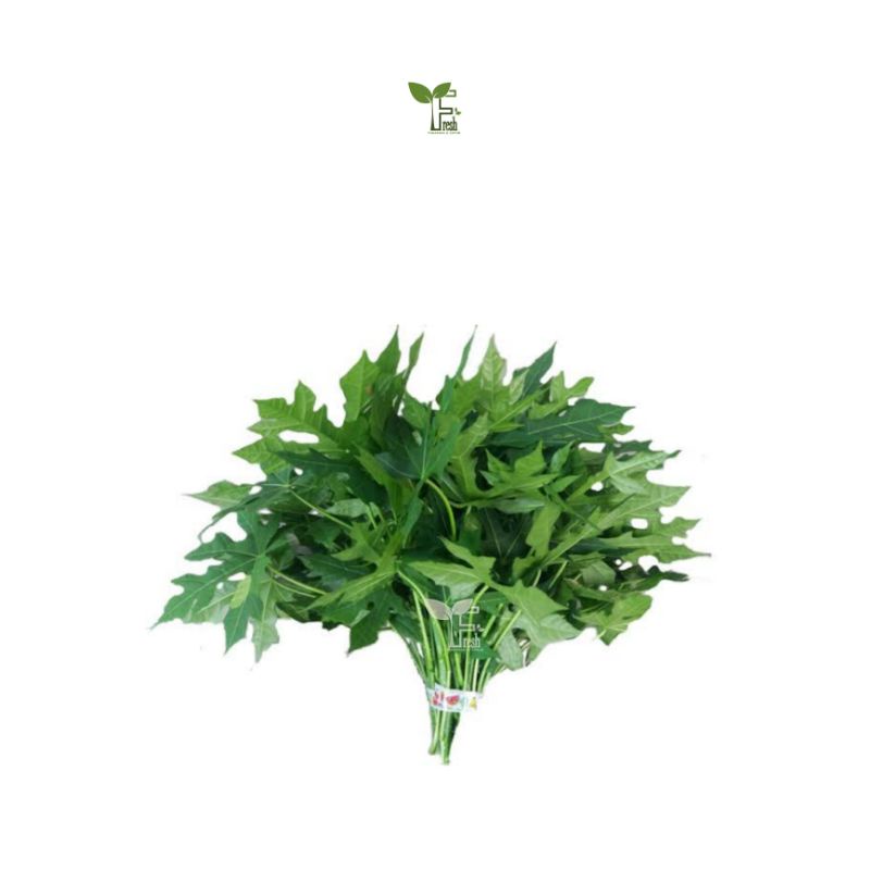 

daun pepaya 1 ikat