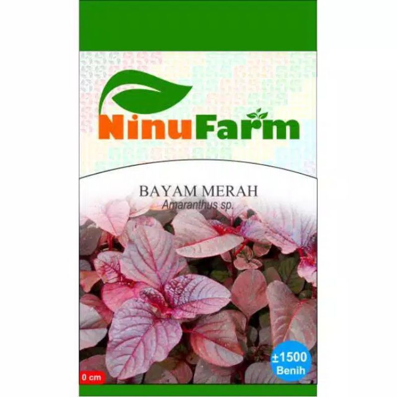 Benih BAYAM MERAH