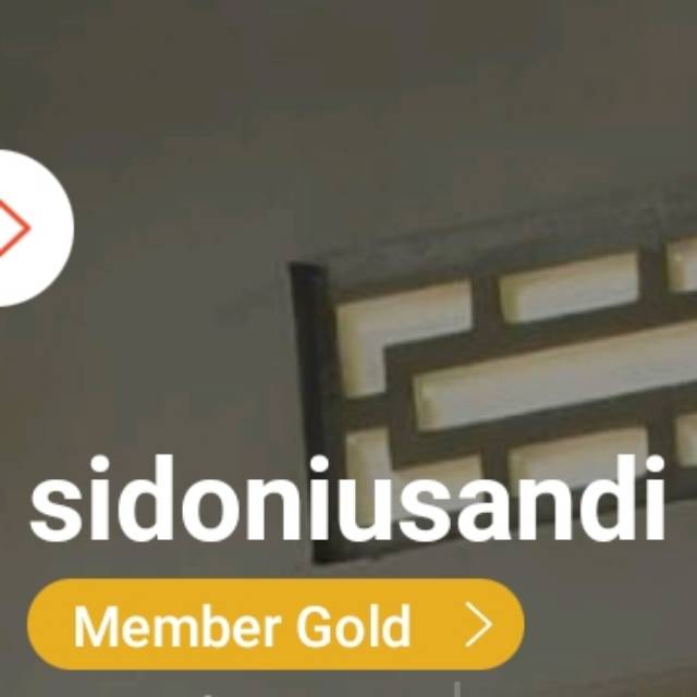 sidoniusandi