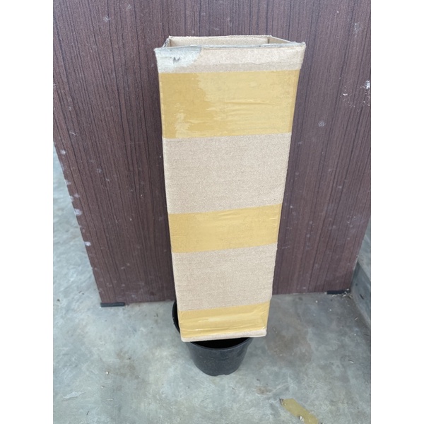 

packing tambahan pot + kardus