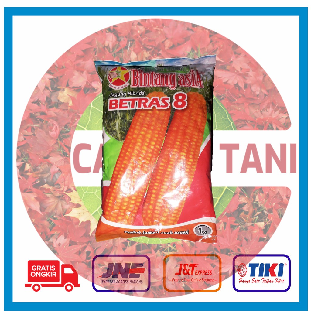 Benih Jagung Betras 9 @ 1 KG