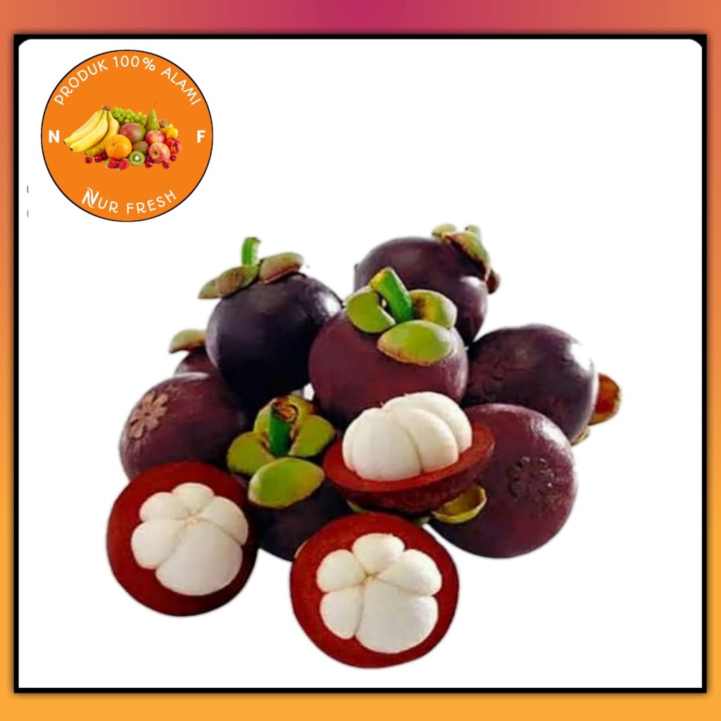 

Buah manggis mangoosten Murah Berkualitas Bergaransi
