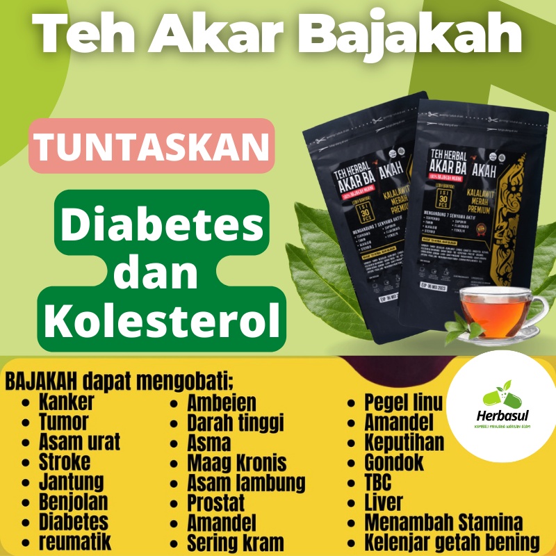 

Herbasul | Teh akar Bajakah Asli Kalimantan Tuntaskan Diabetes dan Kolesterol secara Alami | Teh Akar Bajakah Siap Seduh terbuat dari 100% Kayu Bajakah ASLI Kalimantan