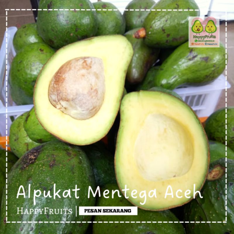 

BUAH ALPUKAT MENTEGA ACEH HAPPYFRUITS 2KG