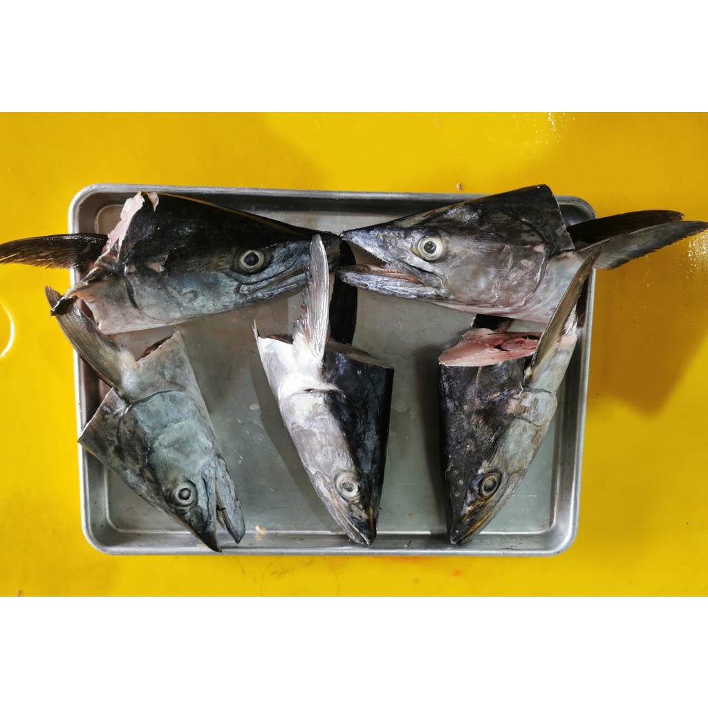 

Kepala Ikan Tenggiri - 1 kg