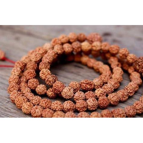 SUPER SALE Kalung Tasbih Genitri Jenitri Rudaksha Kesehatan Asli