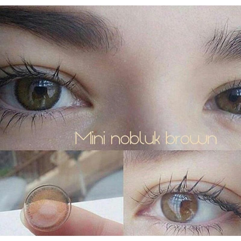 SOFTLENS MINI NOBLUK BROWN/COKLAT. NORMAL/MINUS (0 s/d -8.00).Dia.14mm DREAMCOLOR/ MADE IN KOREA