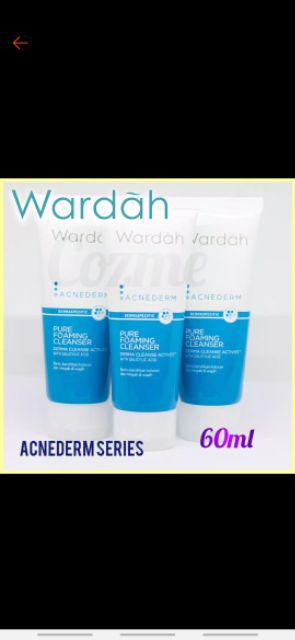 WARDAH Acnederm Pure Foaming Cleanser 60ml | Shopee Indonesia