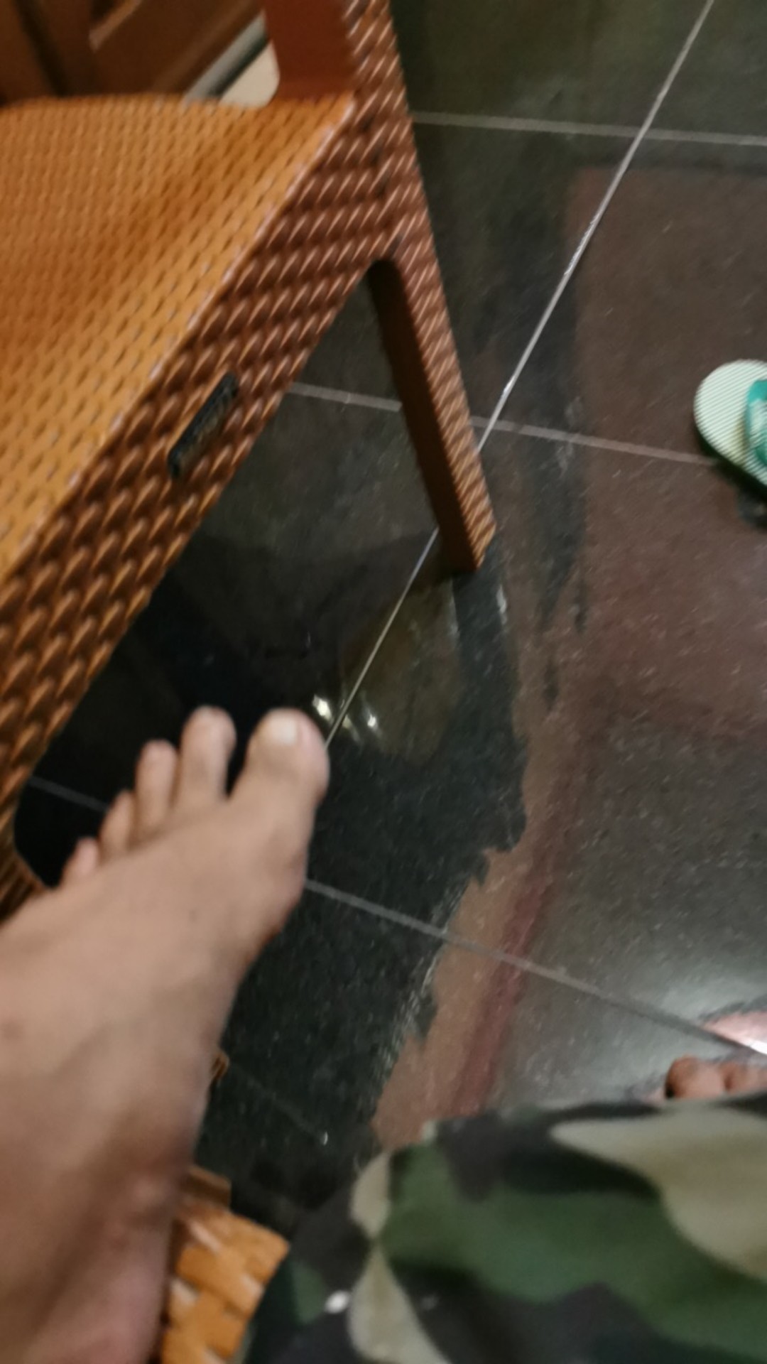 Scraper Algae/algae Ukuran 90cm Untuk Menjaga Tangan Kering