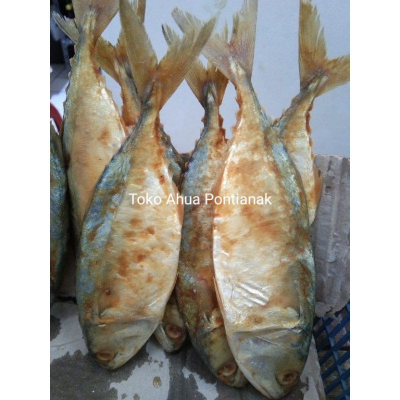 

Ikan Peda Pontianak Siap Goreng