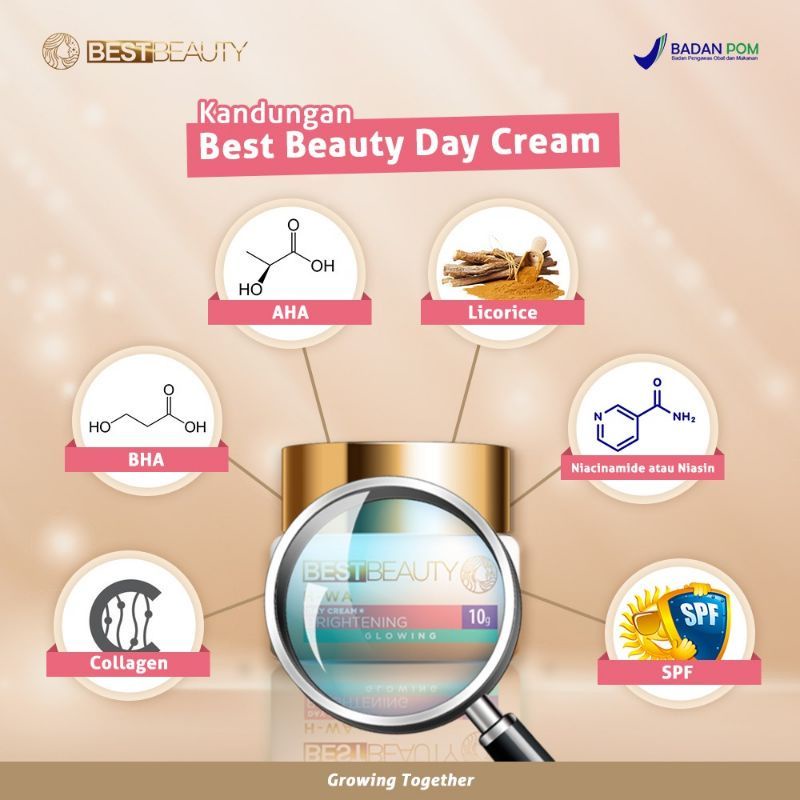 BEST BEAUTY DAY CREAM / KRIM SIANG BEST BEAUTY