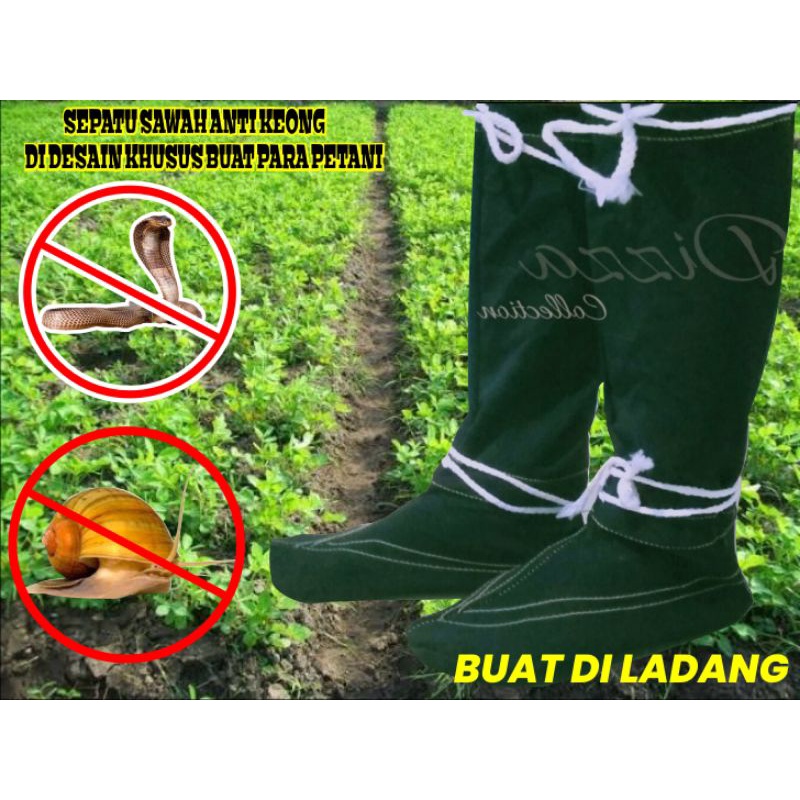 sepatu sawah anti keong kusus buat petani